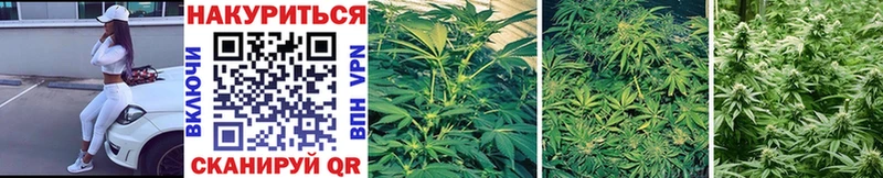 хочу   это формула  МАРИХУАНА White Widow  Подпорожье 